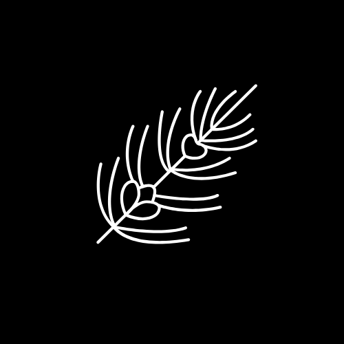 Rooibos BD logo